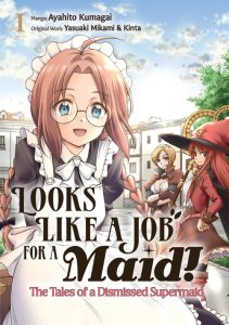 Looks Like a Job for a Maid! – The Tales of a Dismissed Supermaid