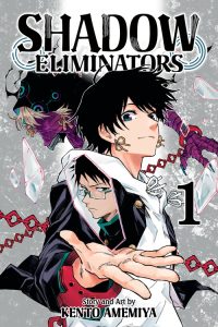 Shadow Eliminators