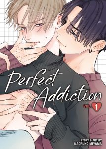 Perfect Addiction